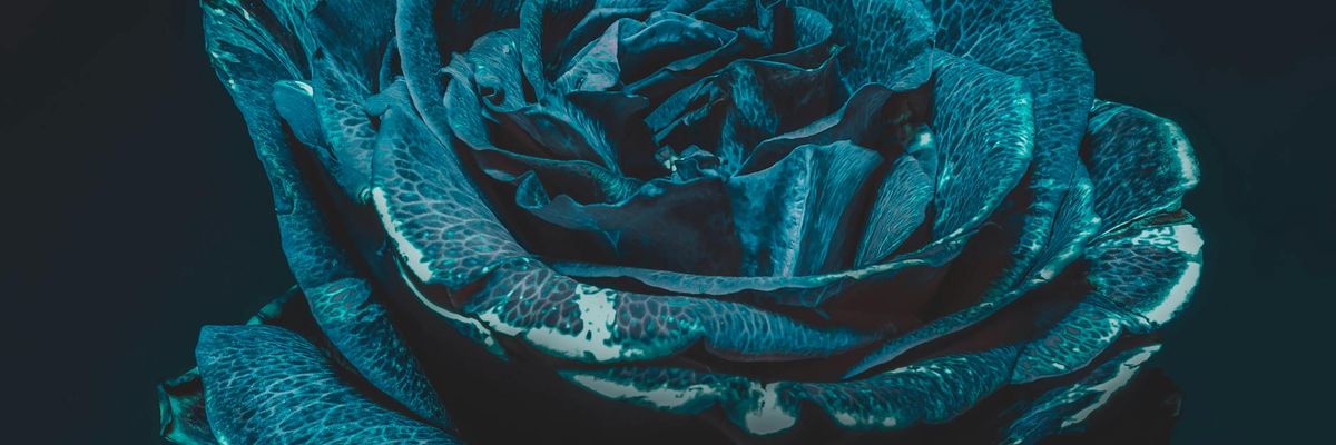 Wide abstract UV light arcs creating a path